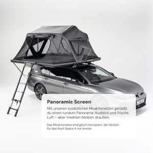 Panoramic Screen