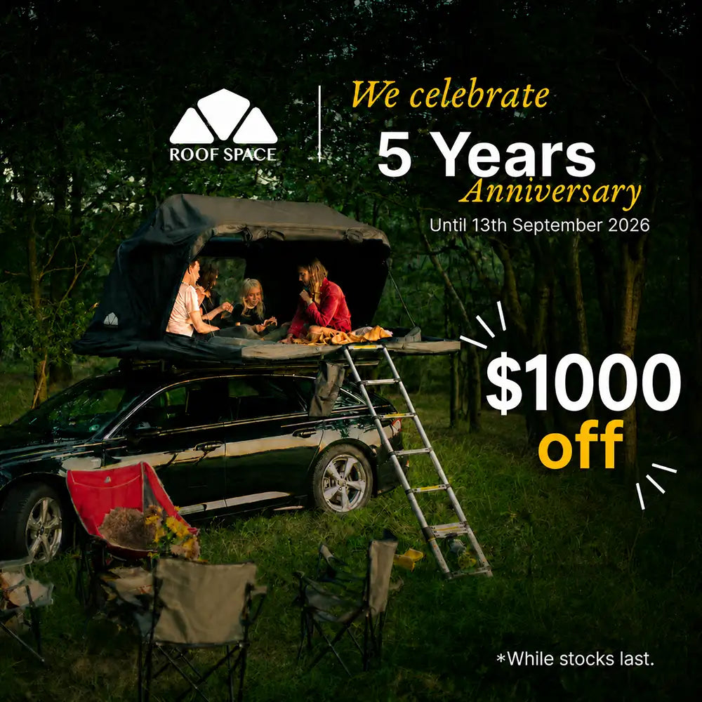 Roof Space 2 - Anniversary Special