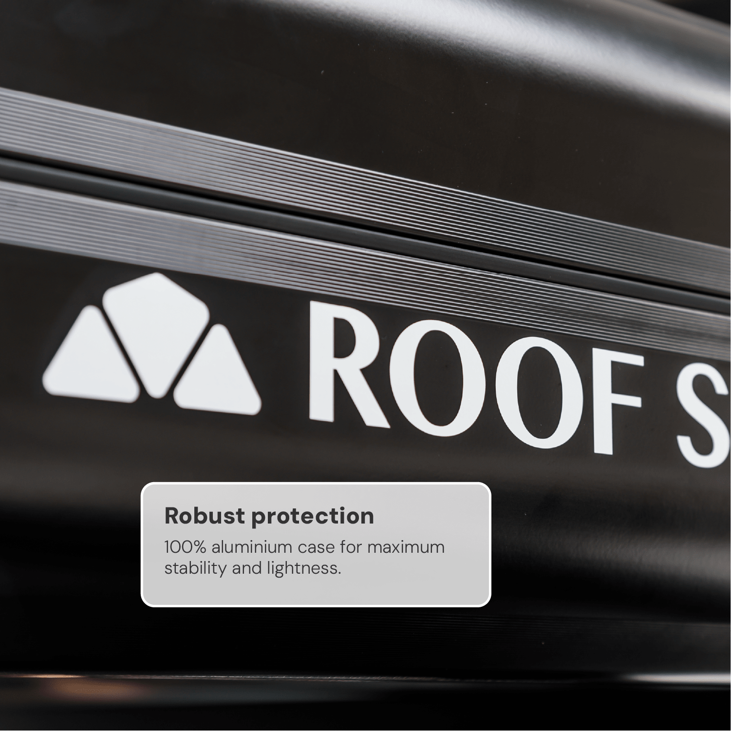 Roof Space 2 - Anniversary Special
