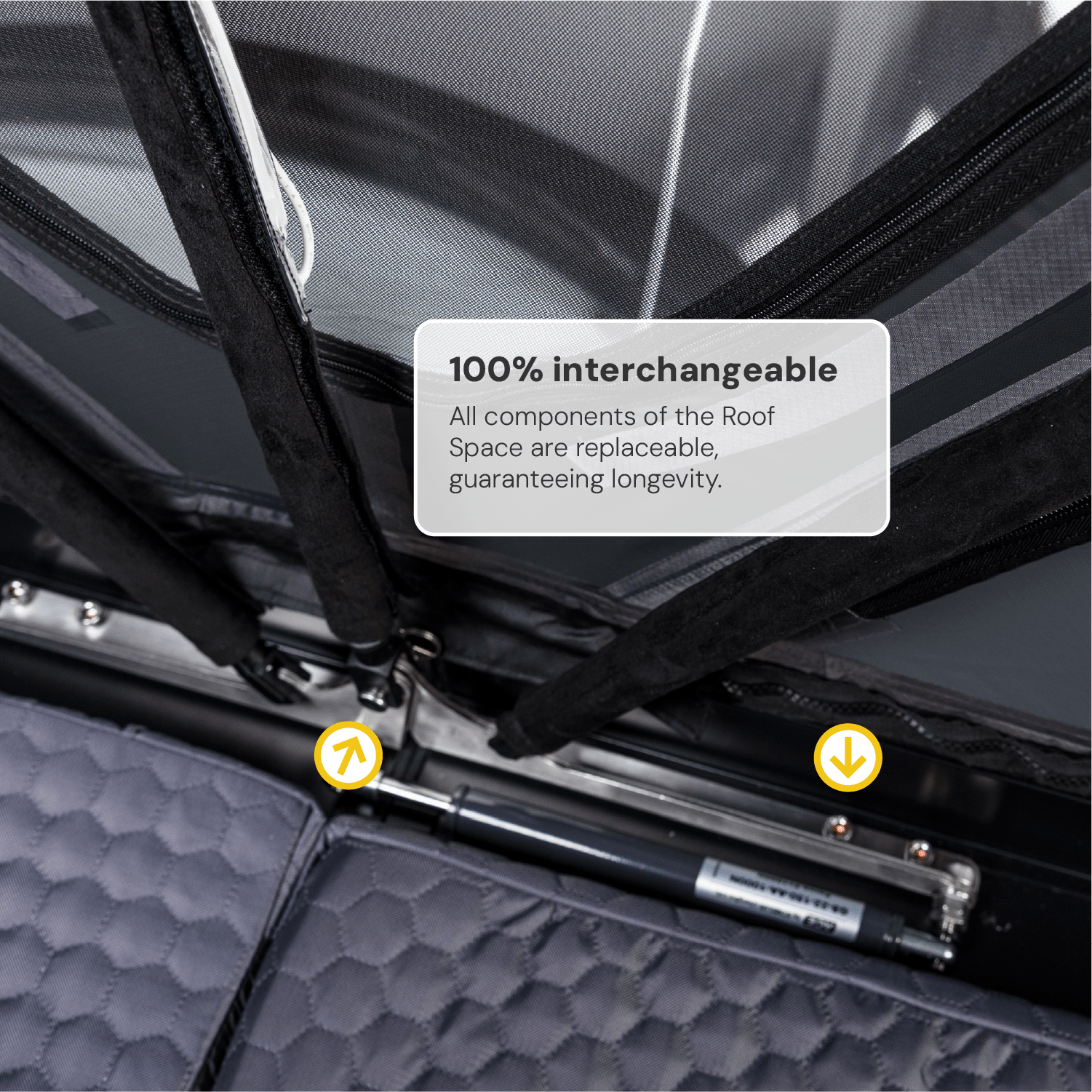 Roof Space 4 Anniversary Bundle RS2 + Light Base Annex